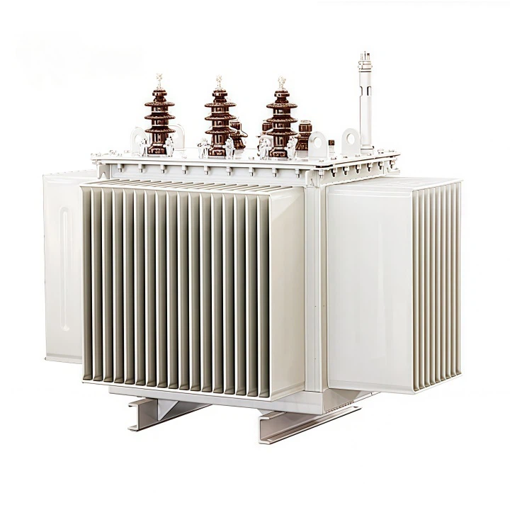 10kv Oil Immersed Transformer